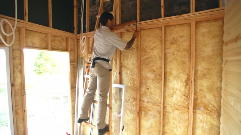 Types of Insulation We Offer in Dauphin, PA